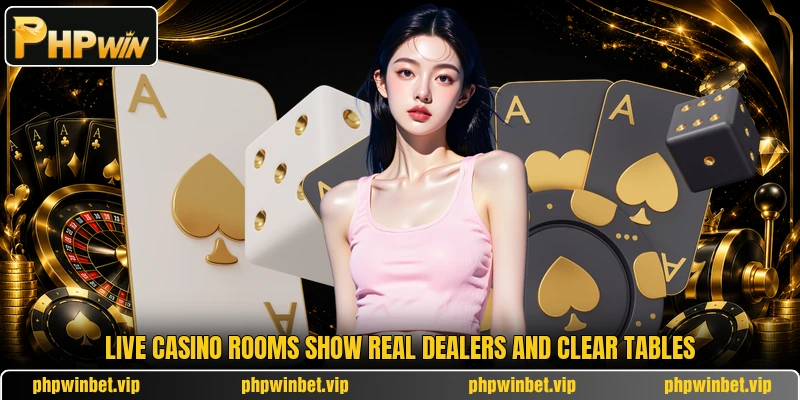 Live casino rooms show real dealers and clear tables Live casino rooms show real dealers and clear tables