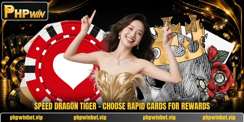 Speed Dragon Tiger - Choose Rapid Cards For Rewards